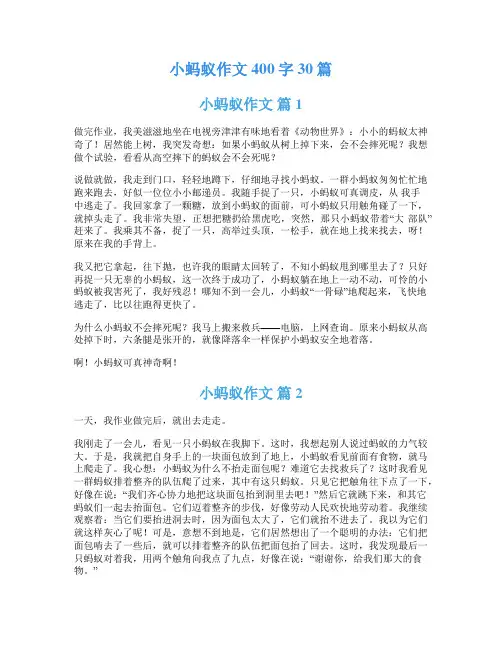 小蚂蚁作文400字30篇