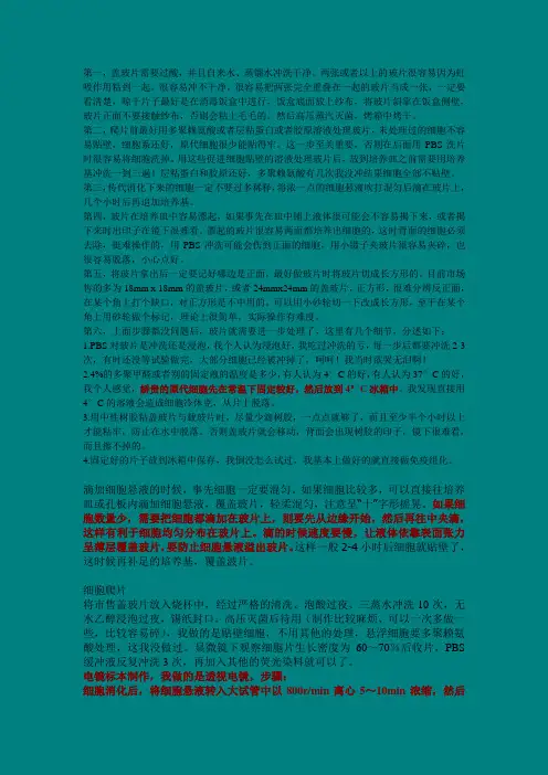 细胞爬片