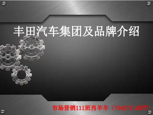 丰田汽车肖羊羊