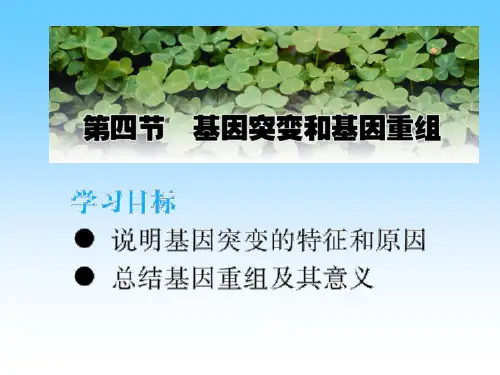 第四节基因突变和基因重组ppt课件