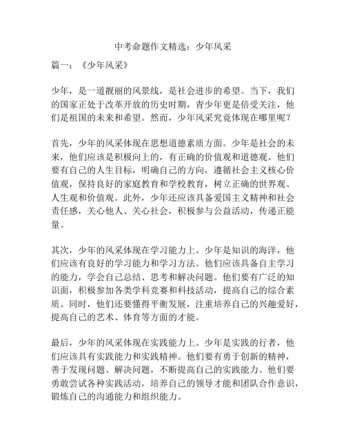 中考命题作文精选：少年风采