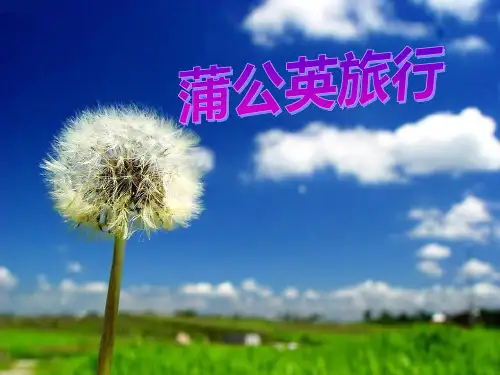 幼儿园中班语言《蒲公英旅行记》 教学PPT课件