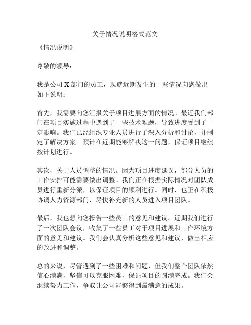 关于情况说明格式范文
