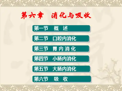 第八章消化与吸收ppt课件