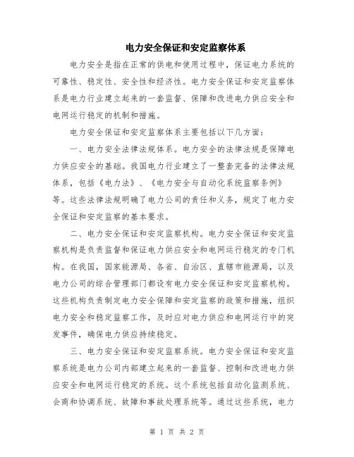 电力安全保证和安定监察体系