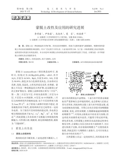 蒙脱土改性及应用的研究进展