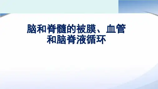 脑和脊髓的被膜、血管及脑脊液的循环