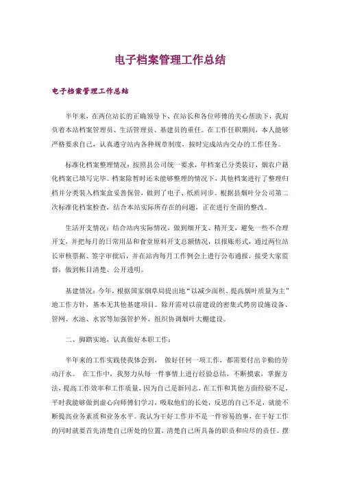 电子档案管理工作总结