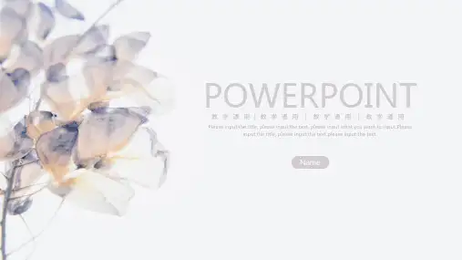 简约清新教学通用模板