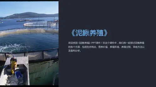 《泥鳅养殖》课件