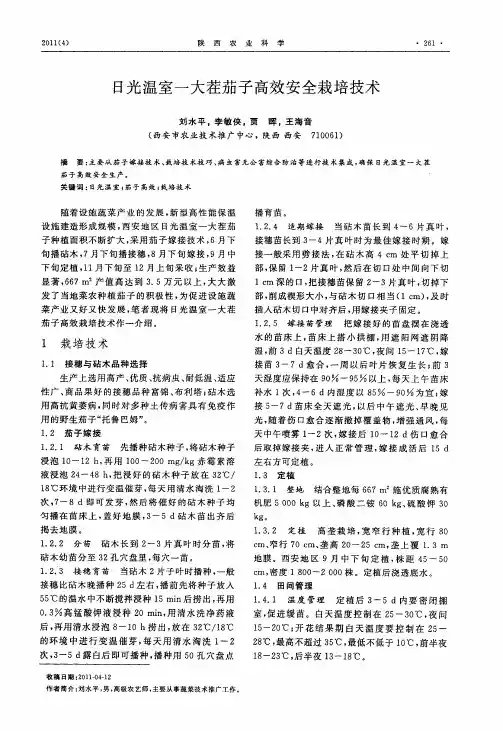 日光温室一大茬茄子高效安全栽培技术