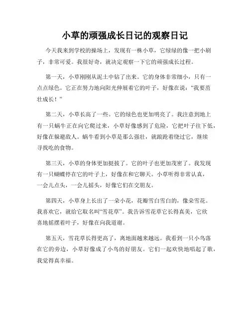 小学三年级作文小草的顽强成长日记的观察日记