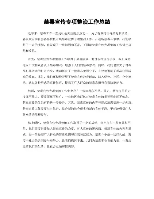 禁毒宣传专项整治工作总结