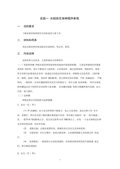 水稻杂交育种程序参观