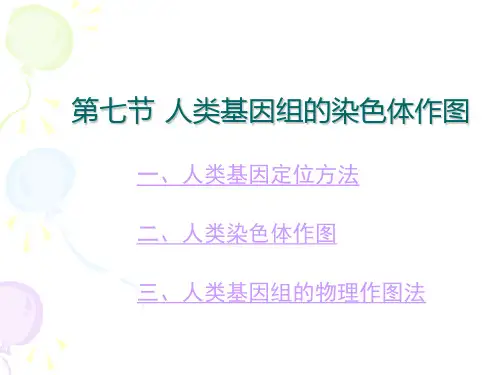 第3章第7节 人类基因组的染色体作图