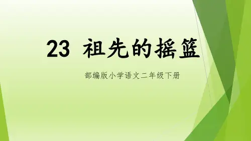 祖先的摇篮ppt课件