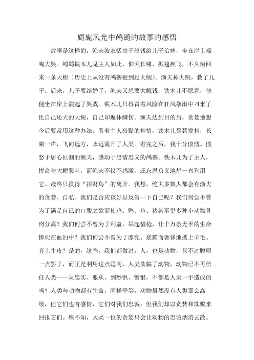 旖旎风光中鸬鹚的故事的感悟