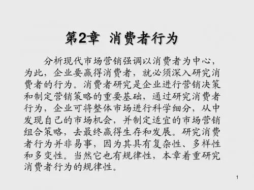 消费者行为学第2章  消费者行为