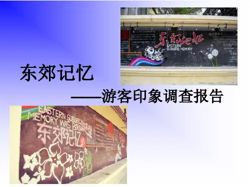 东郊记忆游客印象调查报告