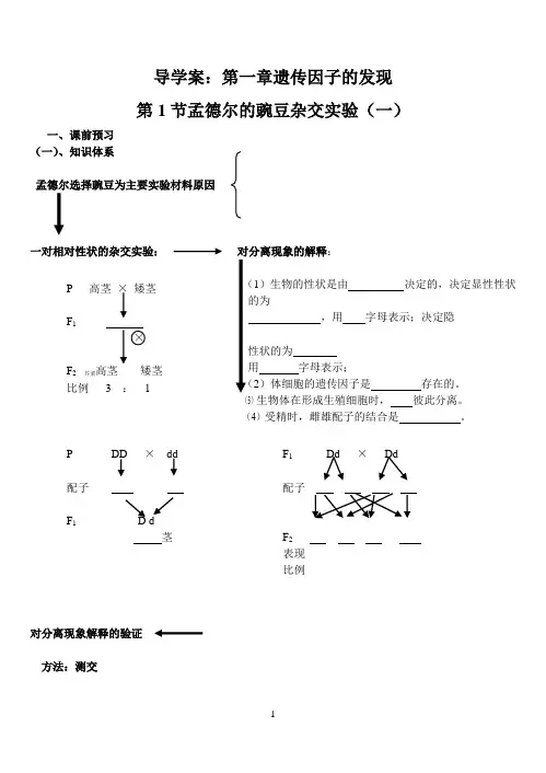 高一生物导学案(必修二)