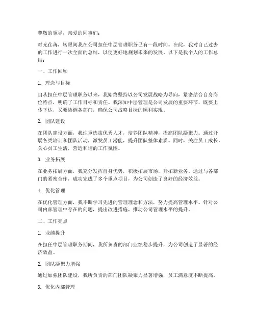 中层提拔_个人工作总结