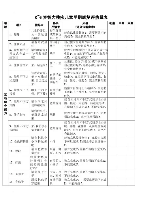 0~6岁智力残疾儿童早期康复评量手册