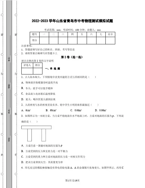2022-2023学年山东省青岛市中考物理测试模拟试题(含解析)
