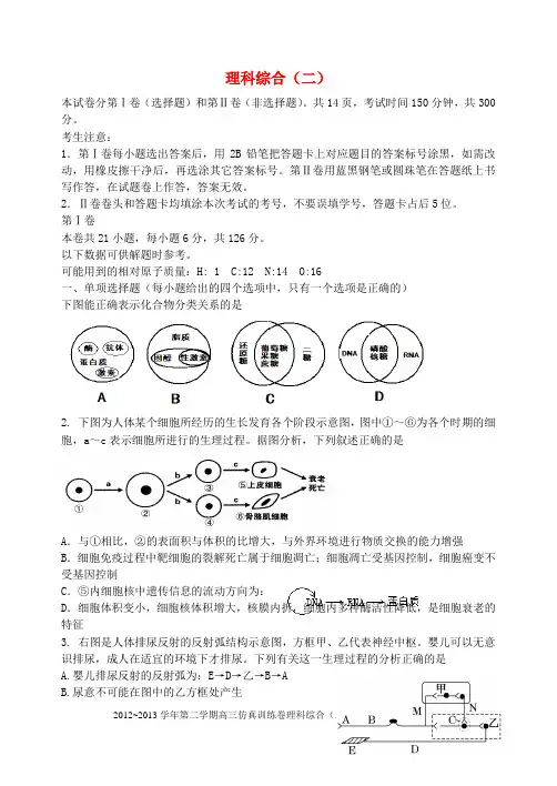 唐山一中高考理综仿真试题(二)
