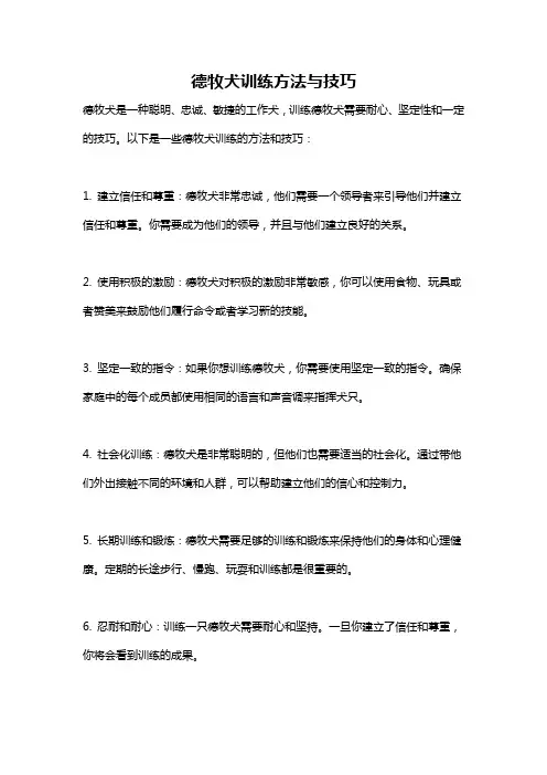德牧犬训练方法与技巧