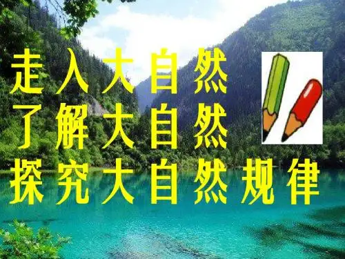 《自然之道》ppt课件【13页】