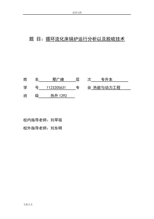 热能与动力工程专业毕业论文设计(循环流化床锅炉)