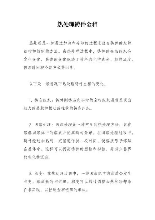 热处理铸件金相