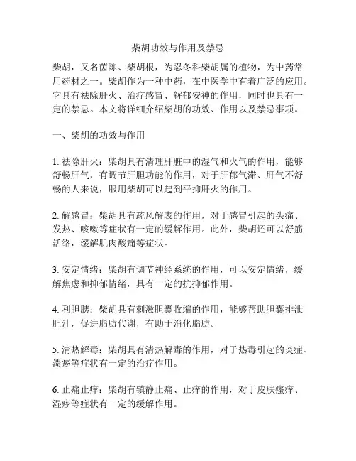 柴胡功效与作用及禁忌