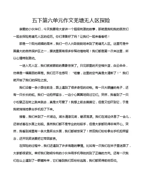 五下第六单元作文羌塘无人区探险