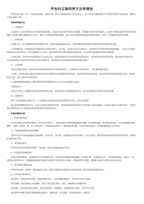 甲鱼的正确饲养方法有哪些