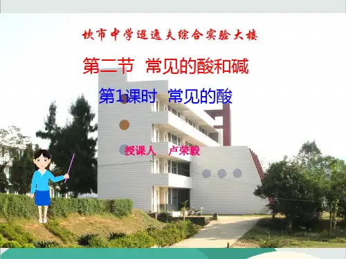 沪教版九年级化学下册《常见的酸和碱》PPT高效课堂 获奖课件 (12)(vip免费)
