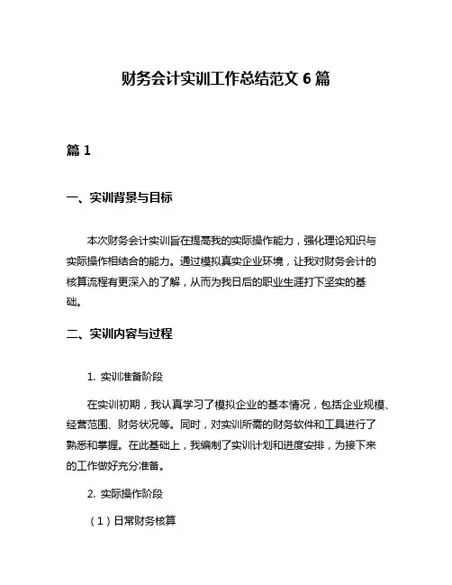 财务会计实训工作总结范文6篇