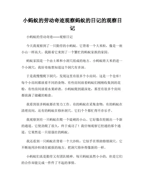 小学三年级作文小蚂蚁的劳动奇迹观察蚂蚁的日记的观察日记
