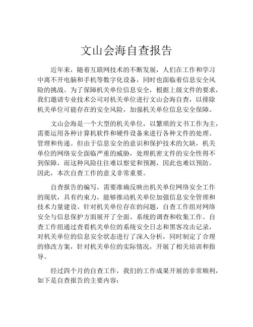 文山会海自查报告