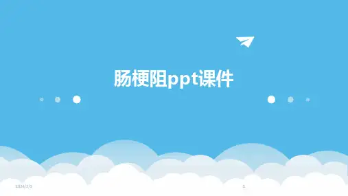 2024版年度肠梗阻ppt课件
