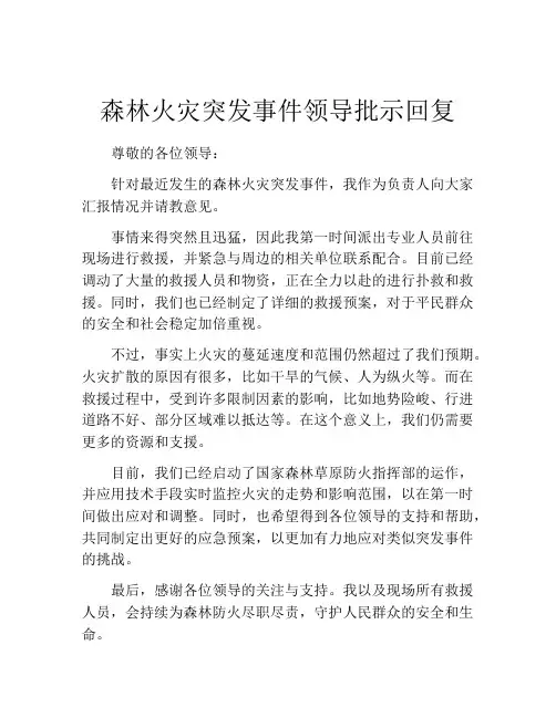 森林火灾突发事件领导批示回复