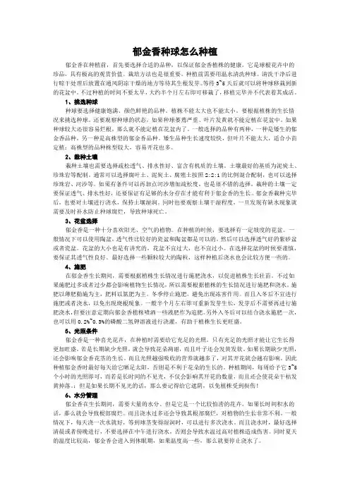 郁金香种球怎么种植
