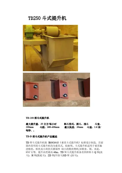TD250斗式提升机详细参数