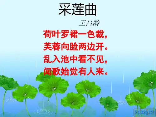 北师大版初中语文八年级下册第五单元《采莲曲》课件