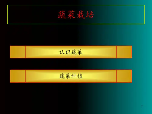 适合小孩子的种菜知识PPT课件