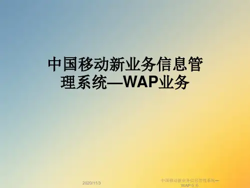 中国移动新业务信息管理系统—WAP业务