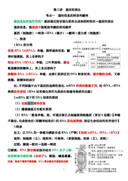 高三生物一轮复习讲义 第三讲基因的表达 