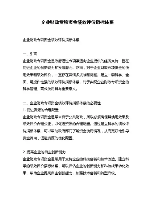 企业财政专项资金绩效评价指标体系
