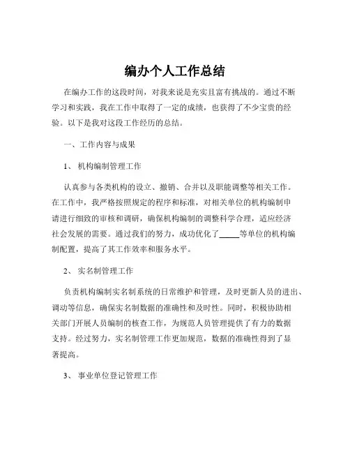 编办个人工作总结