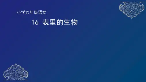 部编版六年级语文下册16《表里的生物》课件(共49张PPT)